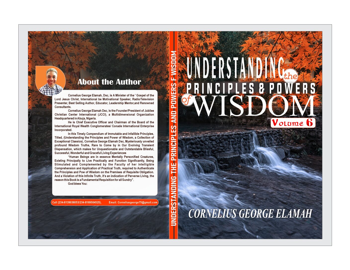 Understanding the Principles and Powers of Wisdom, Volume 6